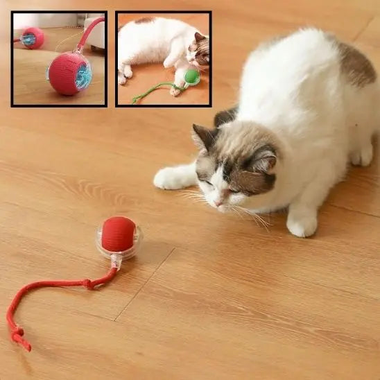 Jouet pour chat, balle roulante automatique avec queue UARAE Flagship Store