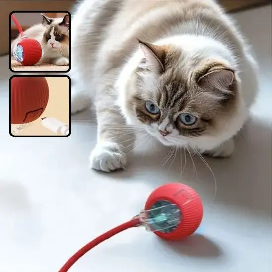 Jouet pour chat, balle roulante automatique avec queue UARAE Flagship Store