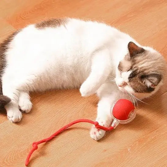 Jouet pour chat, balle roulante automatique avec queue UARAE Flagship Store