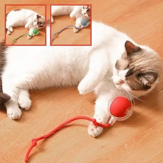 Jouet pour chat, balle roulante automatique avec queue UARAE Flagship Store