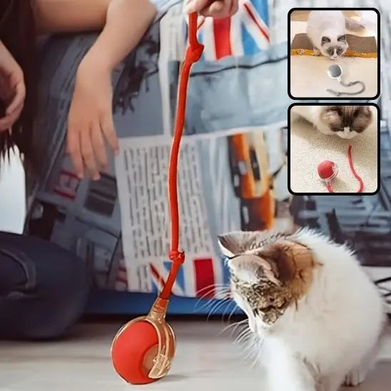 Jouet pour chat, balle roulante automatique avec queue UARAE Flagship Store