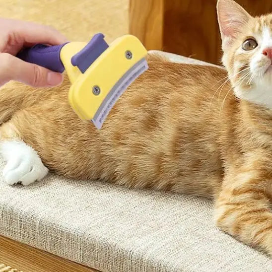 Peigne de toilettage pour chat BigBigEyes Store