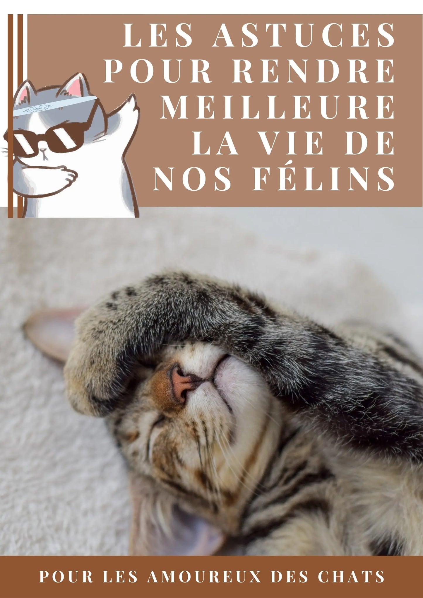 E-book -- Comment rendre meilleure la vie de nos félins Zone Chaton