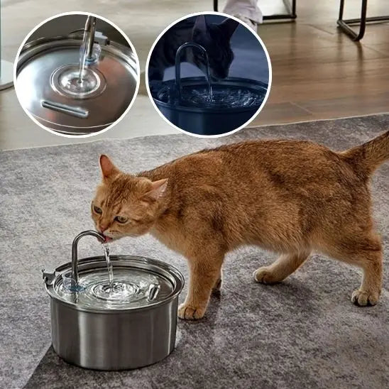 Fontaine d'eau pour Chat en Stainless Alipet Store