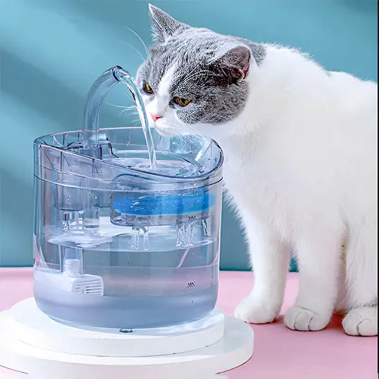 Fontaine d'eau pour chat Shop1102166088 Store