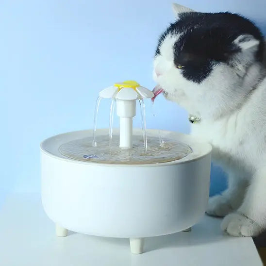 Fontaine à eau pour chat Herbalcandybox Store
