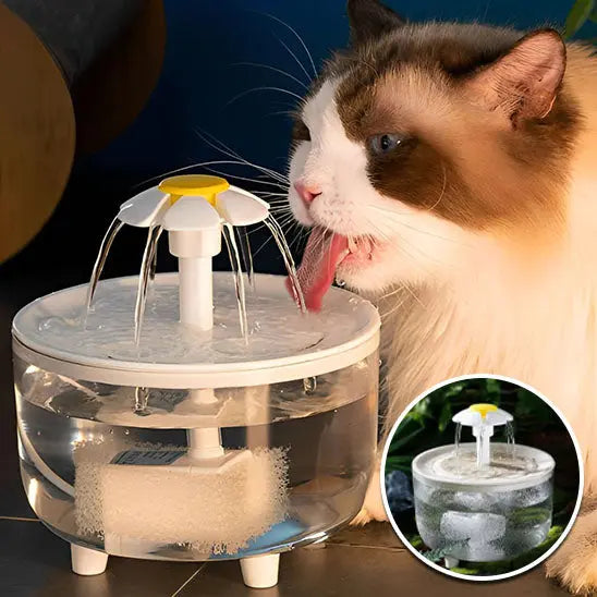 Fontaine à eau pour chat Herbalcandybox Store
