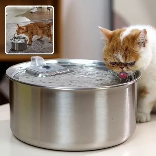 Fontaine d'eau pour Chat en Stainless Alipet Store