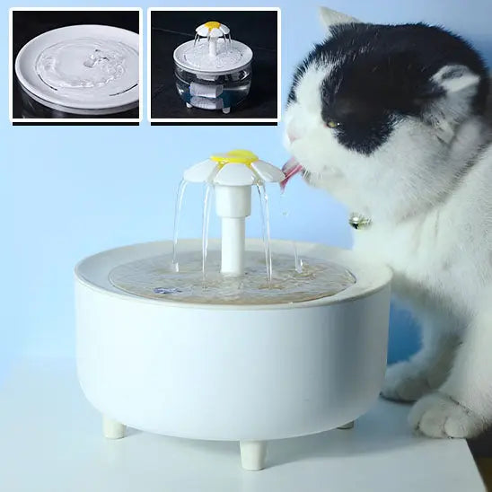 Fontaine à eau pour chat Herbalcandybox Store