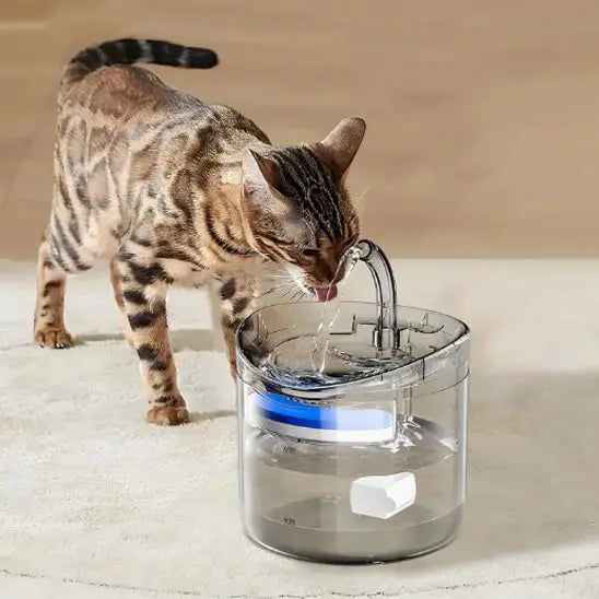 Fontaine d'eau pour chat Shop1102166088 Store