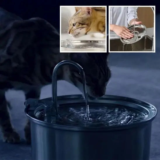 Fontaine d'eau pour Chat en Stainless Alipet Store