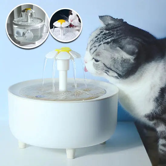 Fontaine à eau pour chat Herbalcandybox Store