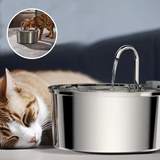 Fontaine d'eau pour Chat en Stainless Alipet Store