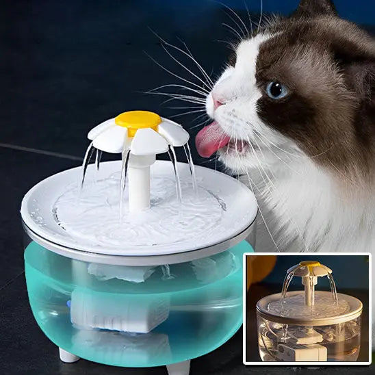 Fontaine à eau pour chat Herbalcandybox Store