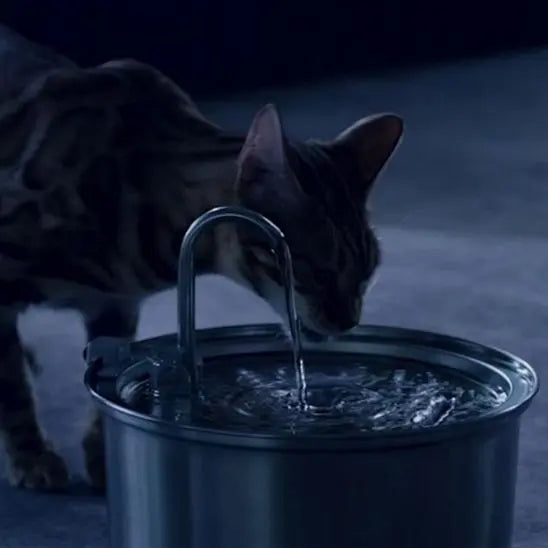 Fontaine d'eau pour Chat en Stainless Alipet Store