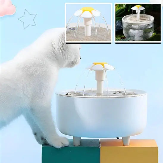 Fontaine à eau pour chat Herbalcandybox Store
