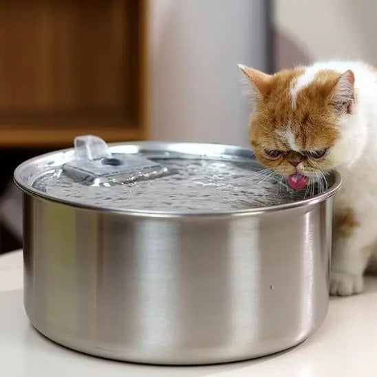 Fontaine d'eau pour Chat en Stainless Alipet Store