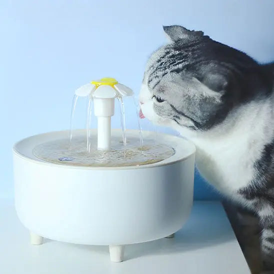 Fontaine à eau pour chat Herbalcandybox Store