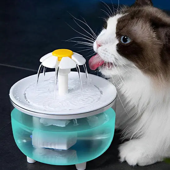 Fontaine à eau pour chat Herbalcandybox Store