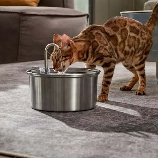 Fontaine d'eau pour Chat en Stainless Alipet Store