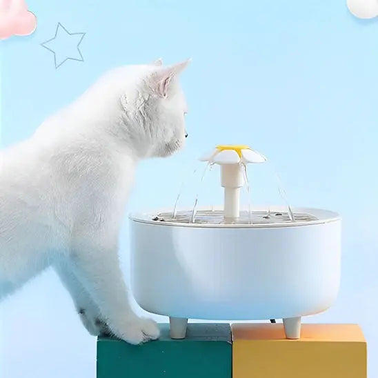 Fontaine à eau pour chat Herbalcandybox Store