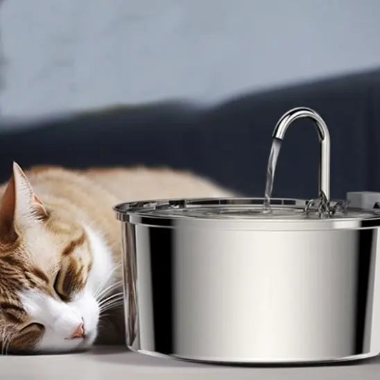 Fontaine d'eau pour Chat en Stainless Alipet Store