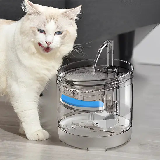 Fontaine d'eau pour chat Shop1102166088 Store