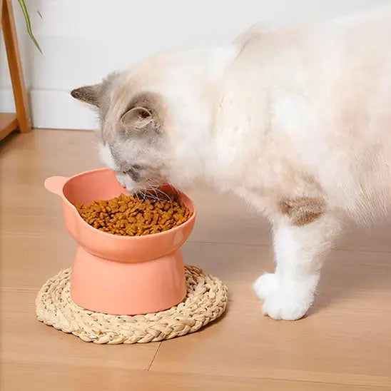 Gamelle inclinée forme de Chat Yiwu Yikang Store