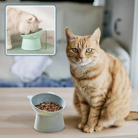Gamelle inclinée forme de Chat Yiwu Yikang Store