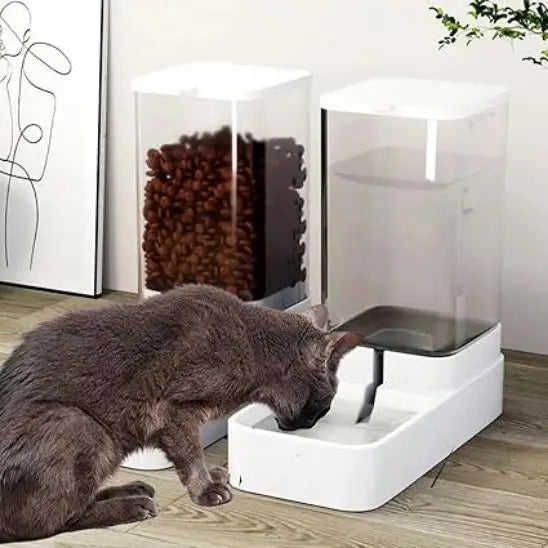 Distributeur de croquettes et d'eau pour Chat PetStar Store