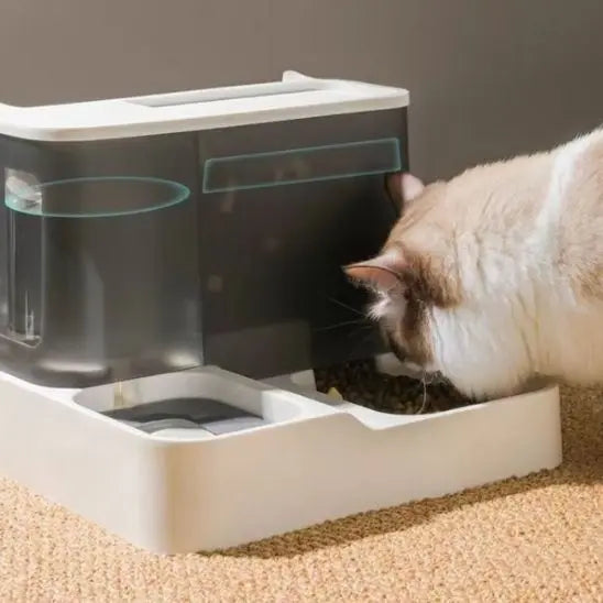 Distributeur automatique de nourriture pour chat Charlie Luna Store
