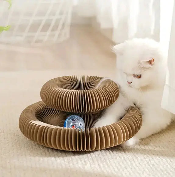 Griffoirs pour chat pliable, avec balle xiaqiming Store