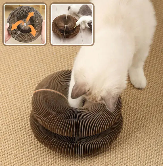 Griffoirs pour chat pliable, avec balle xiaqiming Store