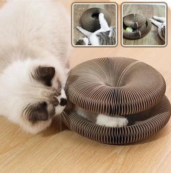Griffoirs pour chat pliable, avec balle xiaqiming Store