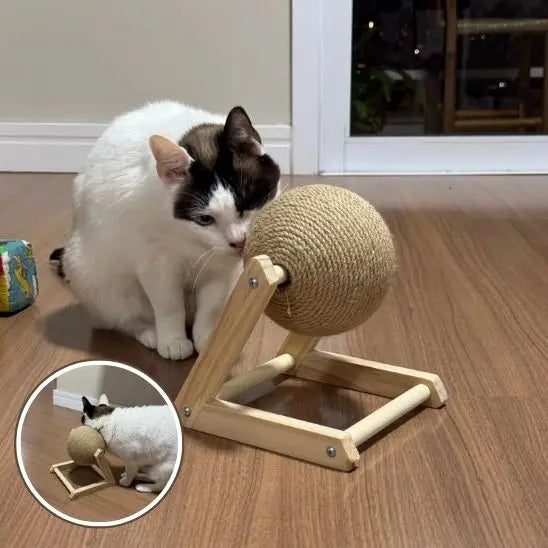 Boule à gratter pour chat en bois massif Snowball Store