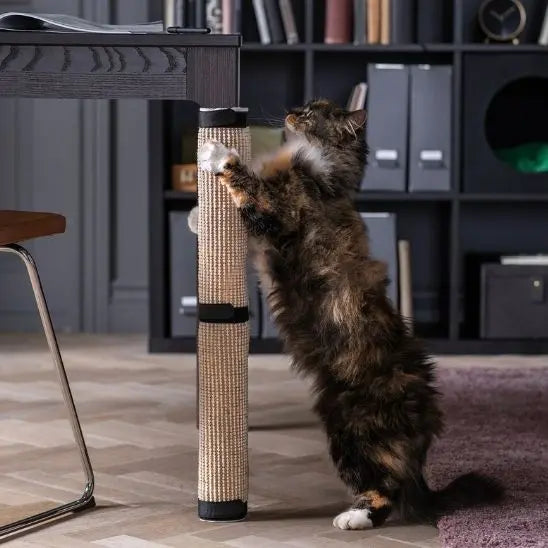 Griffoir à chat pour protéger meubles Preferred Fashion Home Store