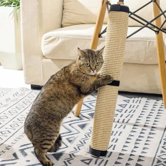 Griffoir à chat pour protéger meubles Preferred Fashion Home Store