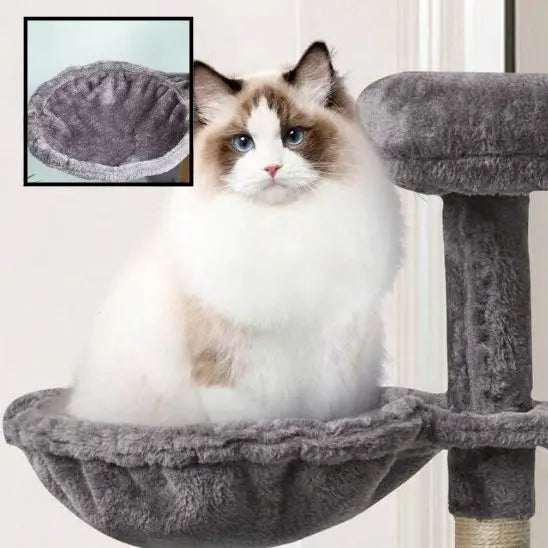 Hamac pour chat chaud et confortable Jingdu Pets Store