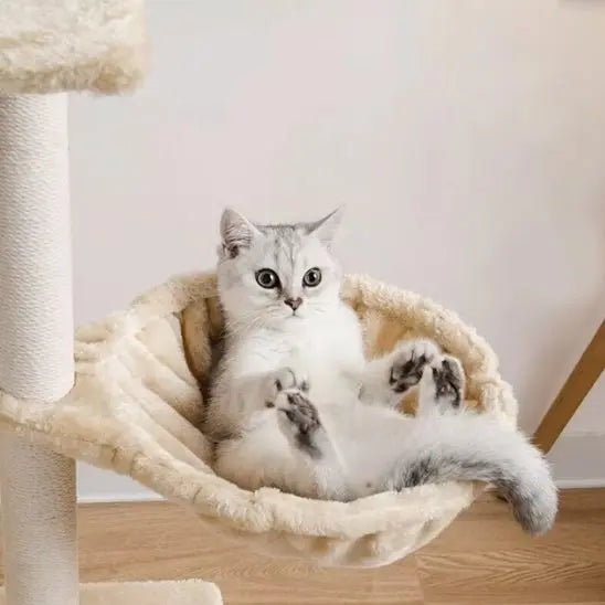 Hamac pour chat chaud et confortable Jingdu Pets Store