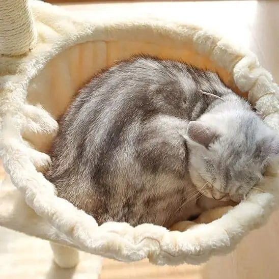 Hamac pour chat chaud et confortable Jingdu Pets Store