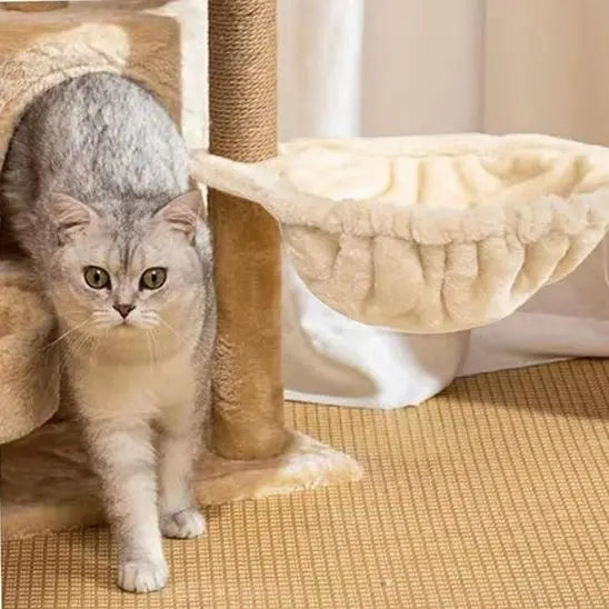 Hamac pour chat chaud et confortable Jingdu Pets Store