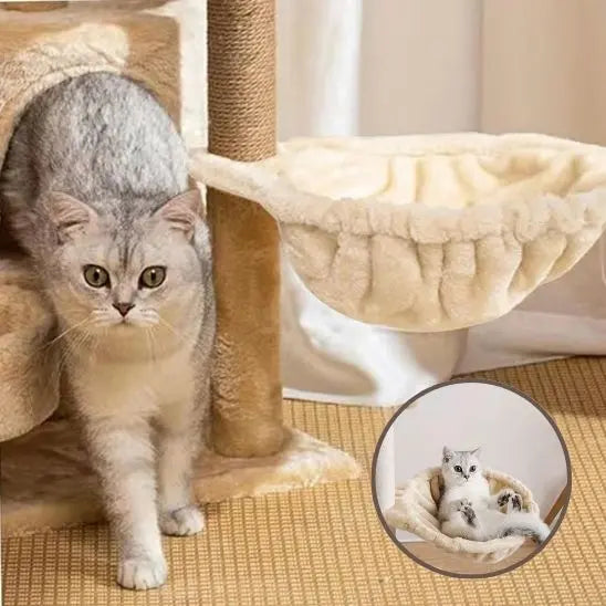 Hamac pour chat chaud et confortable Jingdu Pets Store