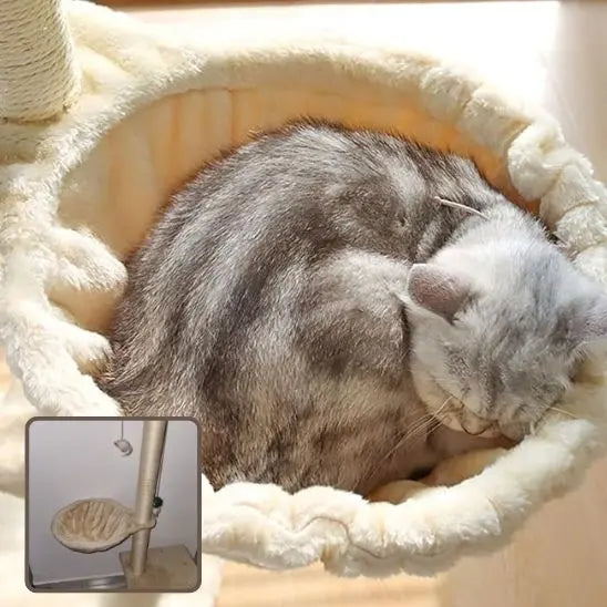 Hamac pour chat chaud et confortable Jingdu Pets Store