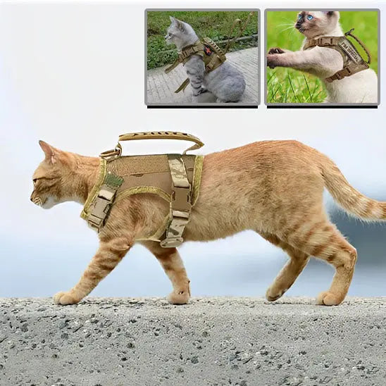 Harnais pour Chat de style tactique Qintian Pet Supplies Store Store