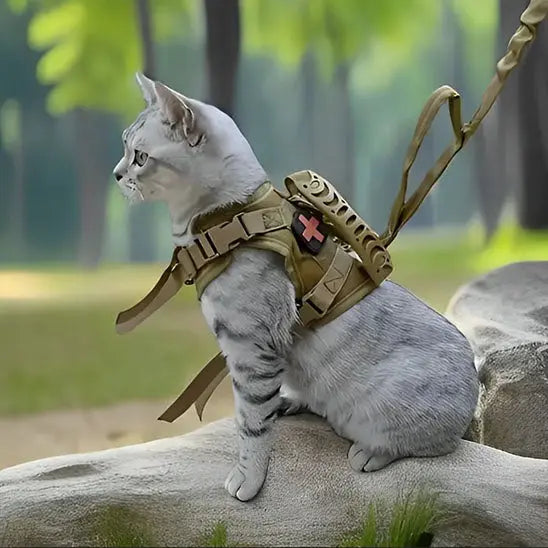 Harnais pour Chat de style tactique Qintian Pet Supplies Store Store