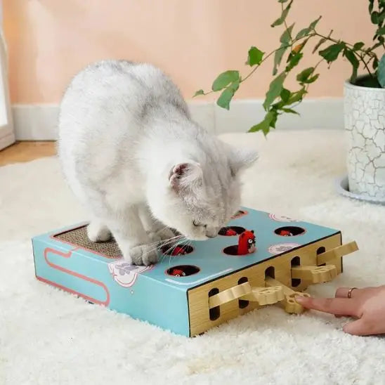 Boîte de jeu pour chat 3 en 1 avec grattoir Car Engineer Store