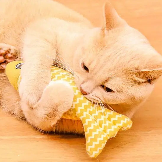 Jouet à mâcher pour dentition de chat Shop1103838869 Store