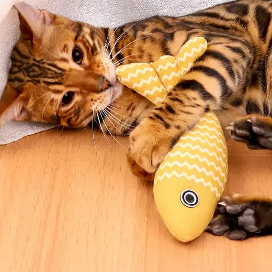 Jouet à mâcher pour dentition de chat Shop1103838869 Store