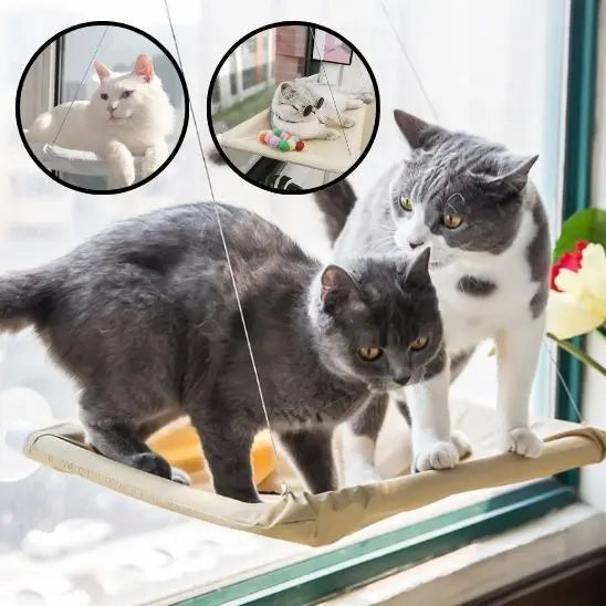 Hamac de fenêtre pour Chat Pet Tribe Store