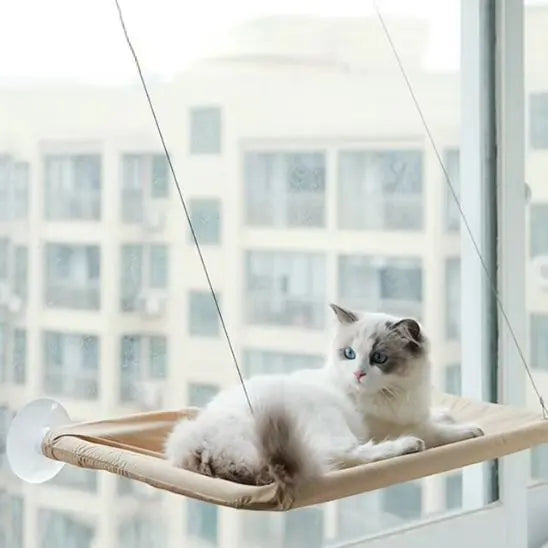 Hamac de fenêtre pour Chat Pet Tribe Store